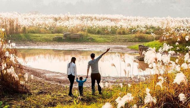 湖南的“白洋淀” 风景如画的长沙巴溪洲_大湘网_腾讯网