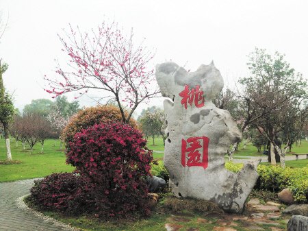 长沙岳麓山桃花朵朵开 早春赏花两日游