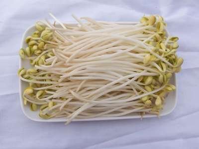 人均蔬菜排名_世界人均gdp排名