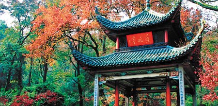 麓山层林尽染 第七届岳麓山红枫节即将启动