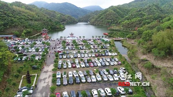 永州阳明山十万亩杜鹃花云雾中怒放 单日接待游客破2万人