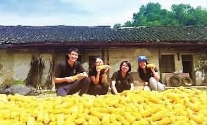 湖南印象 | 旅游创客de春天