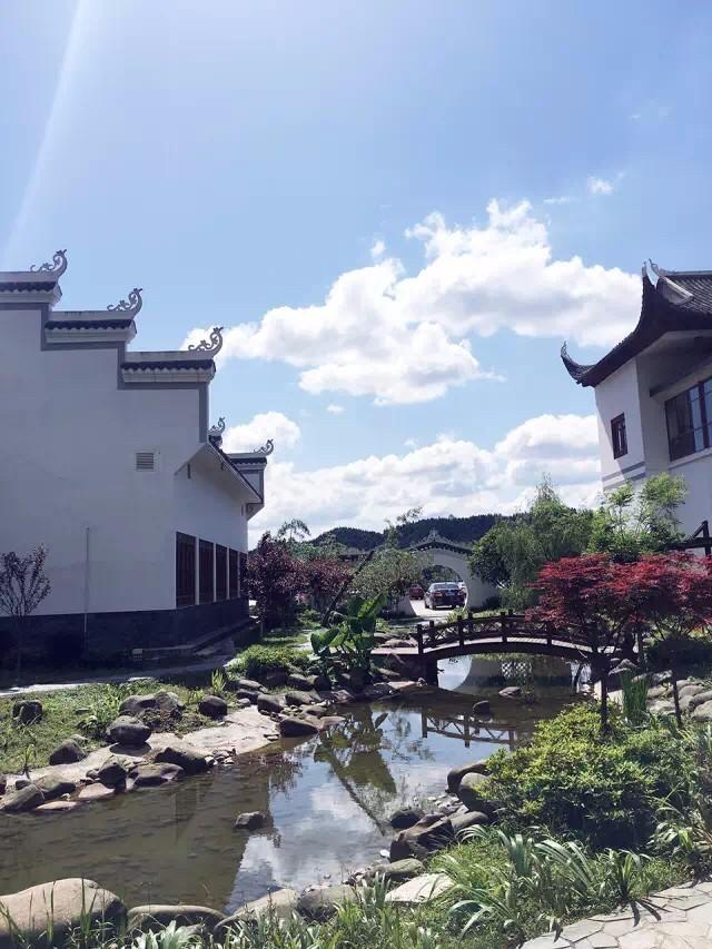 常德桃花源景区7月18日开放 180元可玩三天