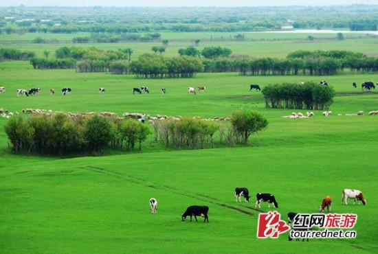 湖南高考毕业生最爱旅游地推介 带上贴士更顺