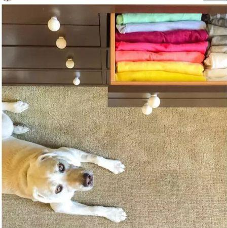 靠双手改变世界 年底必备怦然心动的收纳法