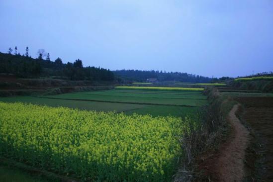 邵阳县茶铺村人口_邵阳县塘渡口龙井村