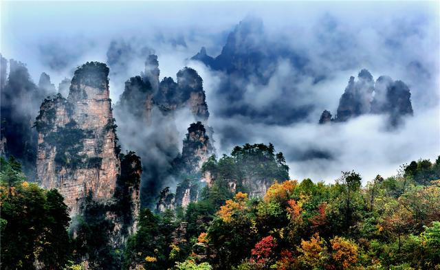 张家界国际森林保护节十月开幕 森林康养全国