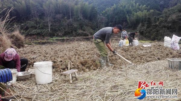 绥宁县寨市镇人口_绥宁县李西镇图片(3)