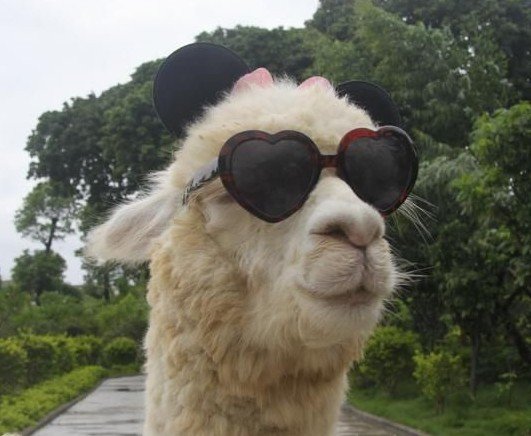 刘医生十八期:生活是一个发现自己傻逼的过程