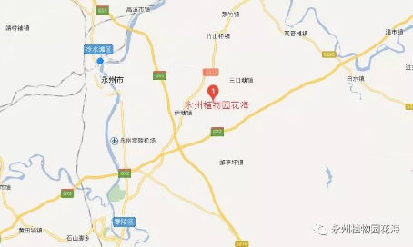四月永州游玩攻略自驾,四月永州游玩攻略自驾游