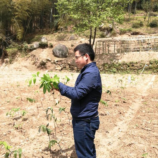 前瞻性科考走进“天岳黄精” 加快农民脱贫致富的步伐