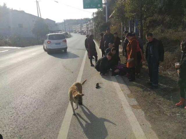 益阳:春节期间破获多起肇事逃逸案件