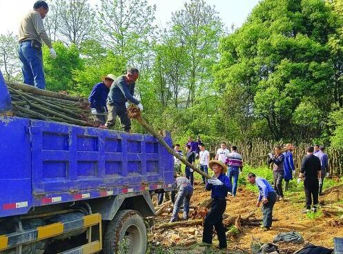 2区破碎岭 人口普查_...全大检查 8县2区全面吹响冬季防火攻坚战集结号 -玉溪消(3)