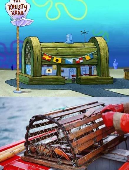 这15个你也不知道的冷知识,可以拓展孩子的认知