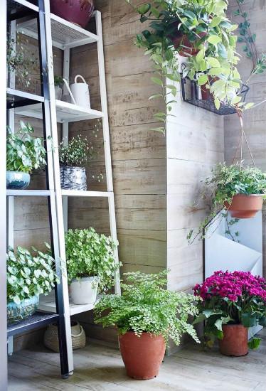 一进门放什么花架最好 148273128.jpg