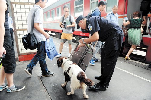 缉毒犬卡其半年磨砺成干探 服役5年战功显赫