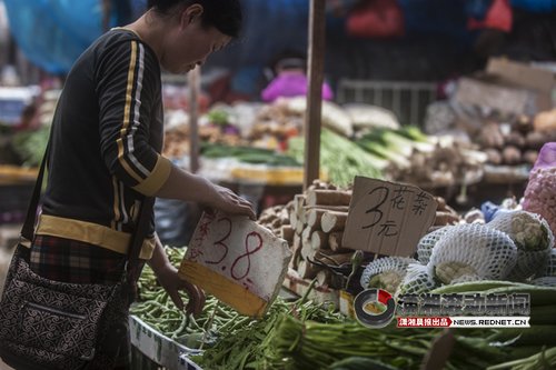 长沙蔬菜零售价格大幅上涨 辣椒上涨幅度最大