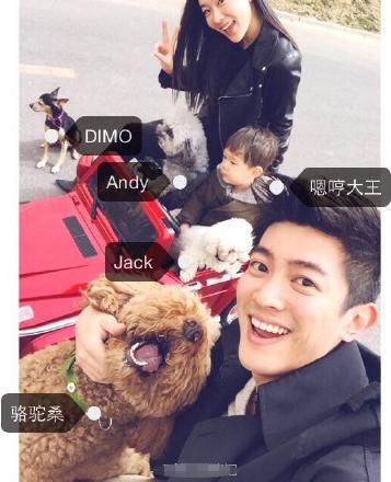 霍思燕老公杜江 晒全家福 四只爱犬抢镜(图)_