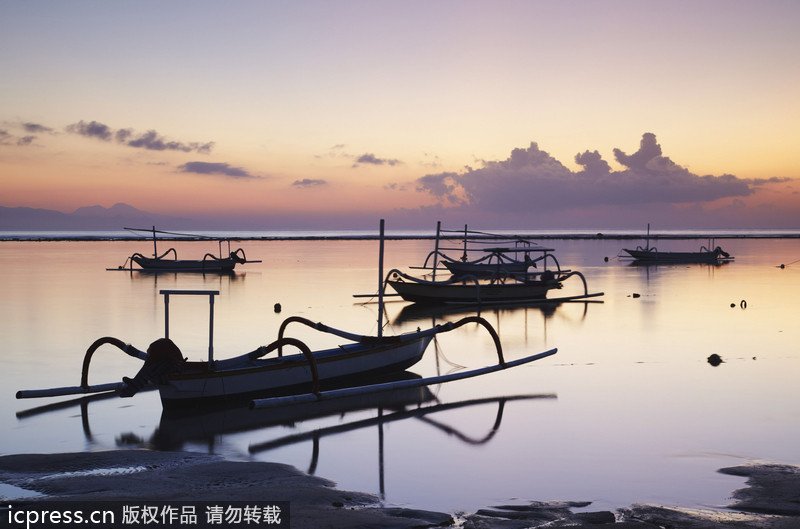 葡萄酒和海鲜_葡萄酒和阳光谈恋爱_张裕葡萄酒(3)