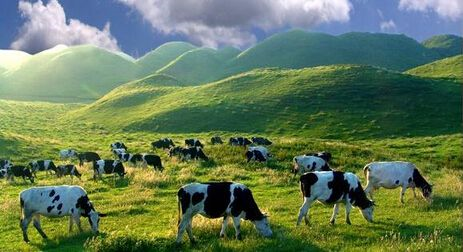 2017国庆湖南自驾旅游十大线路指南