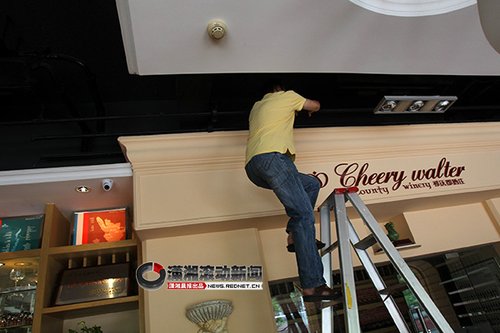 猫妈妈在店铺空调隔层安家生崽 店主求支招