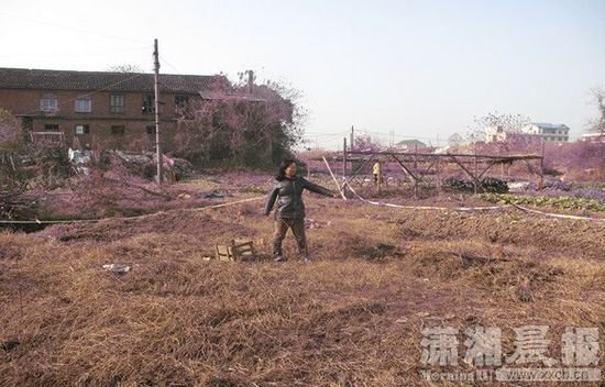 湖南一老太烧杂草惹邻里 双方扭打回家后身亡