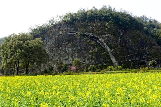 浏阳生态游线路大全