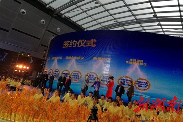 一站买遍洋土产 中国中部农业博览会长沙开幕