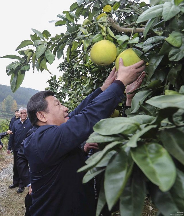 习近平在湘西考察
