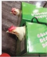 长沙一单位提前发中秋福利活鸡一只