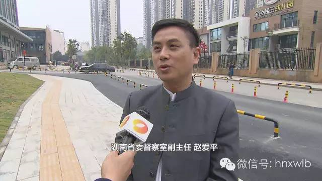 湖南省委督察室副主任 赵爱平