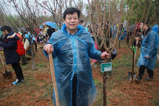 太平人寿湖南分公司组织参与太平林植树