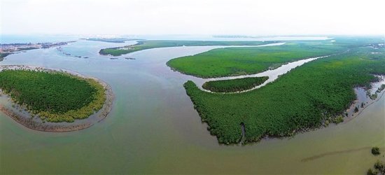 陵水规划打造国家级红树林湿地公园 园区分5大区域_房产_腾讯网
