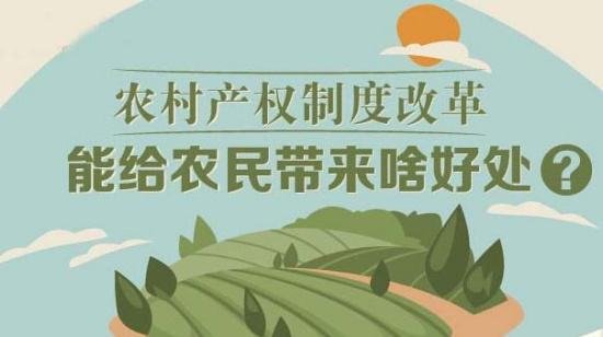 农村土地确权_农村土地出租收入纳税(3)