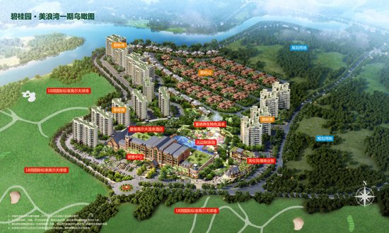 碧桂园森林城市:全球90%的富人都偏爱湾区生