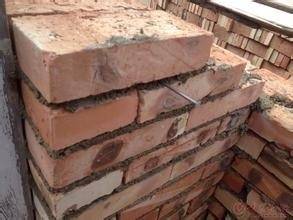 山村一亩三分地_二亩地收入(2)