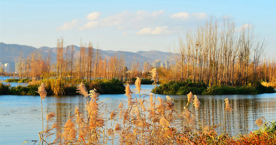 寻甸gdp_寻甸县图片(3)