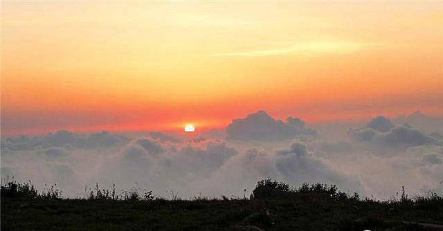 5430876_980x1200_0.jpg