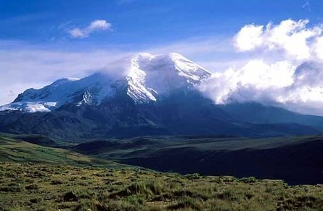 5435420_980x1200_0.png