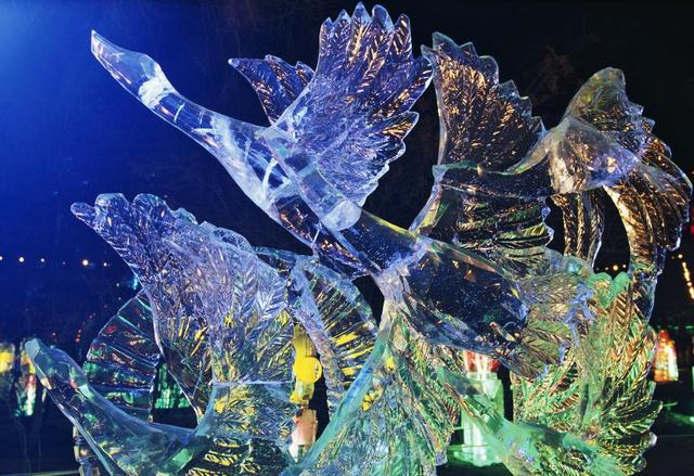 全城总“冻”员 一场梦幻刺激的冰雪之旅华丽开启