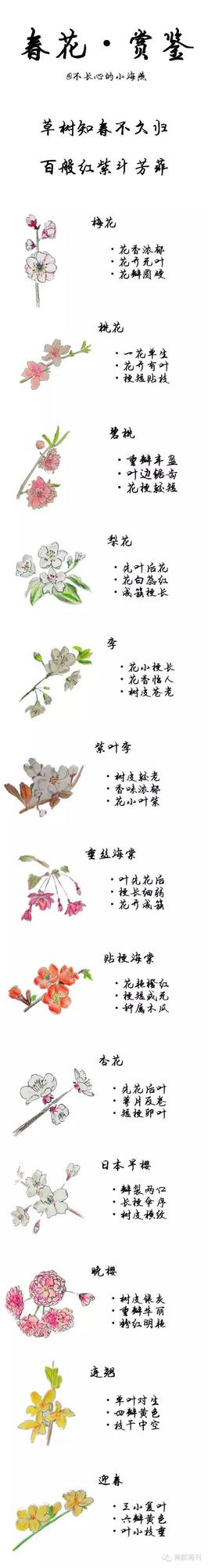 这是一条有味道的推送