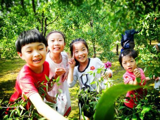 寻秋山野间：华银天鹅湖百亩枣园免费进园采摘