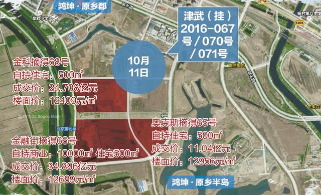 鸿坤·原乡半岛后 武清又现三地引众多开发商竞抢争拍