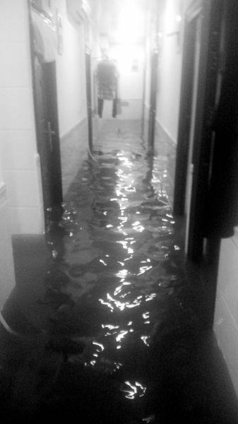 北京天通苑西三区2号楼地下群租房常被水淹