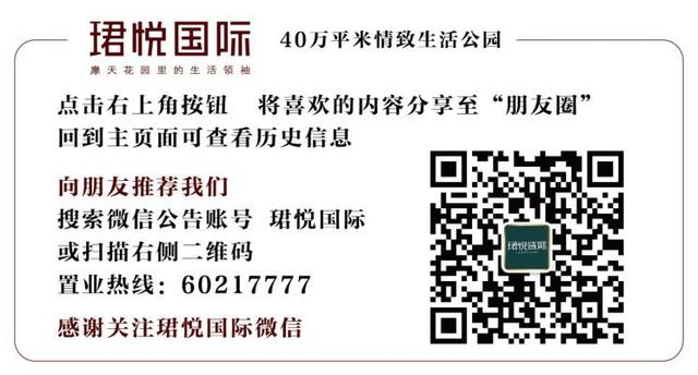 2020年大兴常住人口_大兴机场(3)