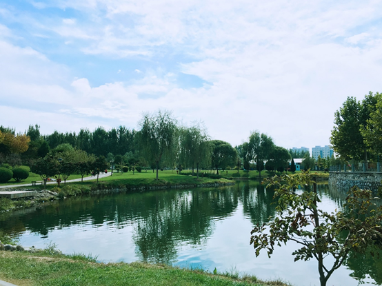 云笼月色烟笼纱 水天一色之盛景