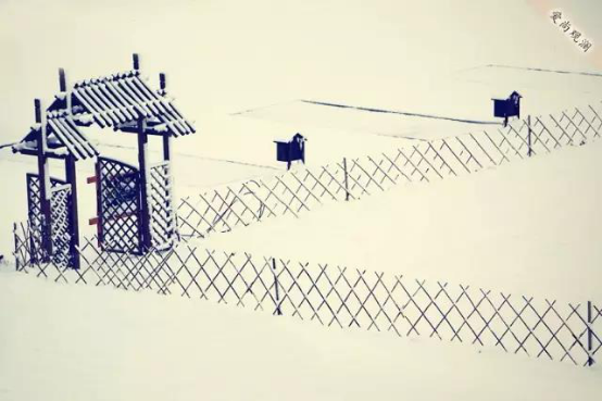 吃湖鱼玩冰雪泡汤泉 开启官厅湖上的暖冬之旅