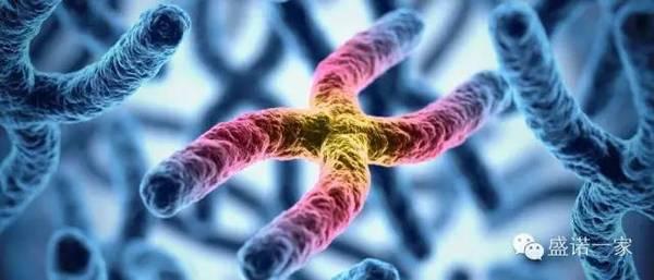 出国看病美国顶级医院MD安德森癌症中心研究