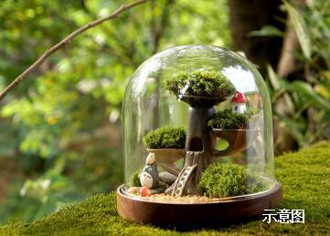 幸福生活·微景观DIY 玩趣绿意时光