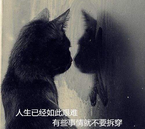 【侃房哥】墓地和房子都是硬伤